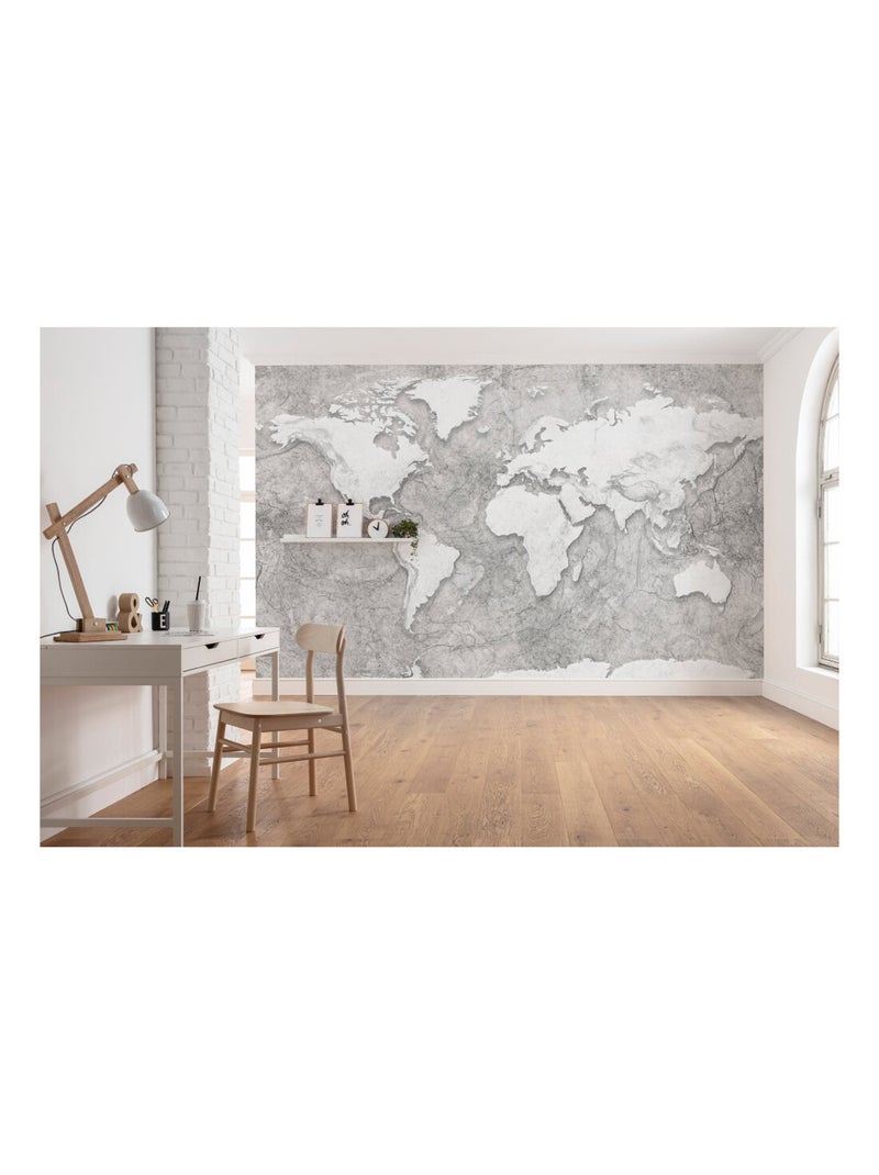 Photo Murale Intissé - Carte Du Monde Relief Multicolore - Kiabi