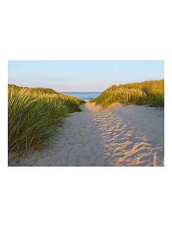 Photo Murale Intissé - Chemin sablé en direction de la mer