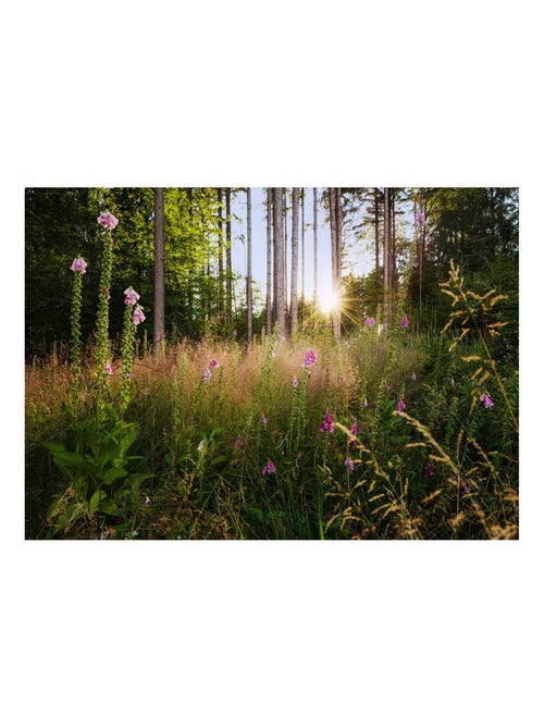 Photo Murale Intissé - Clairière Fleurie - Kiabi
