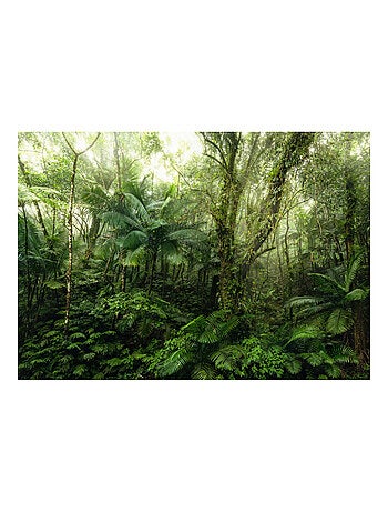 Photo Murale Intissé - Jungle