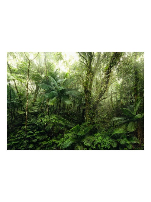 Photo Murale Intissé - Jungle - Kiabi