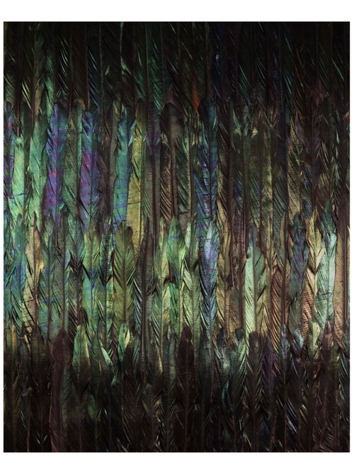 Photo Murale Intissé - Mur De Plumes D'oiseaux - Kiabi