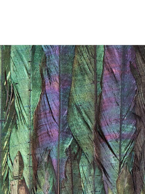 Photo Murale Intissé - Mur De Plumes D'oiseaux - Kiabi