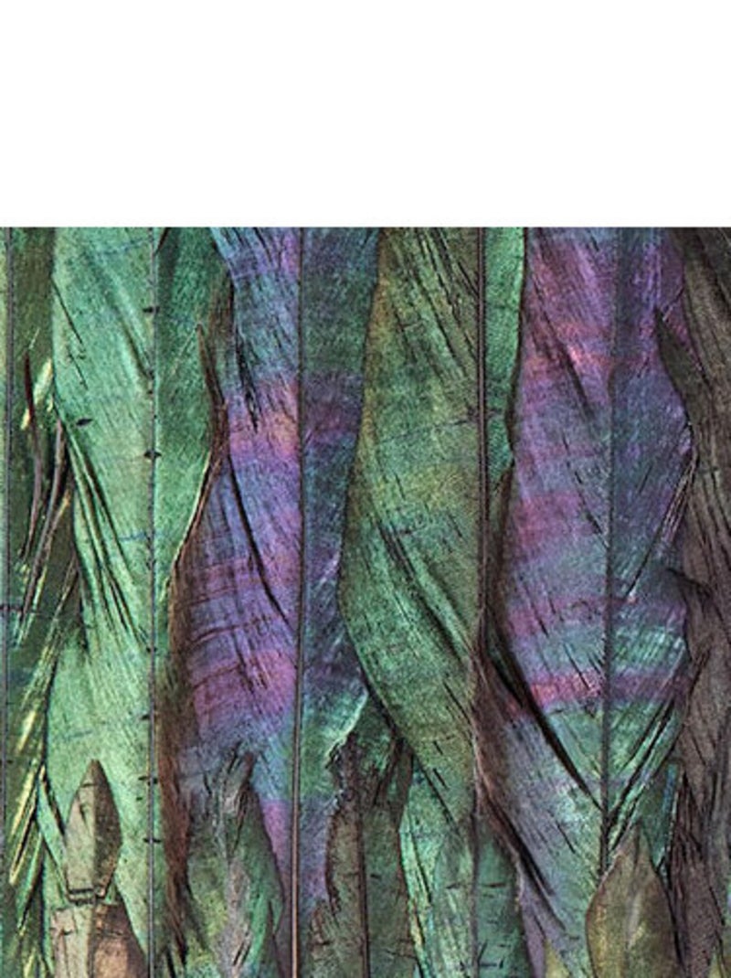 Photo Murale Intissé - Mur De Plumes D'oiseaux Multicolore - Kiabi