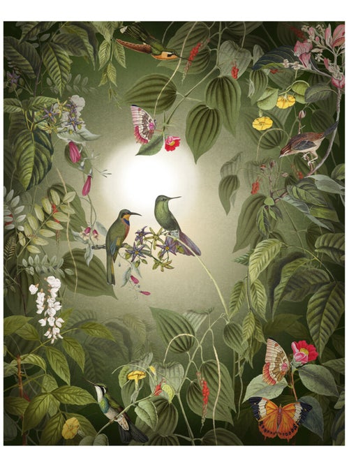 Photo Murale Intissé - Oiseaux et ses papillons - Kiabi