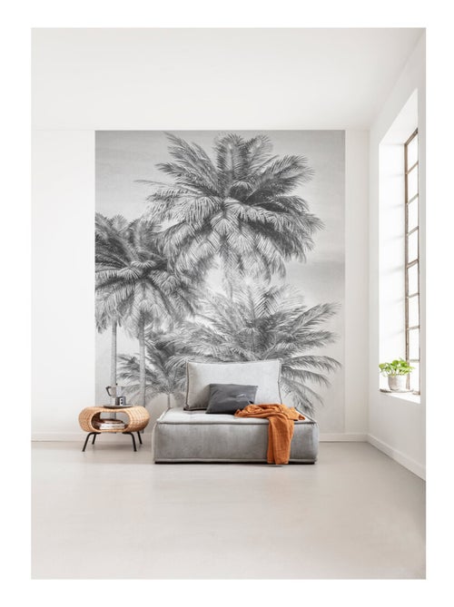 Photo Murale Intissé - Palmiers En Noirs Et Blancs - Kiabi