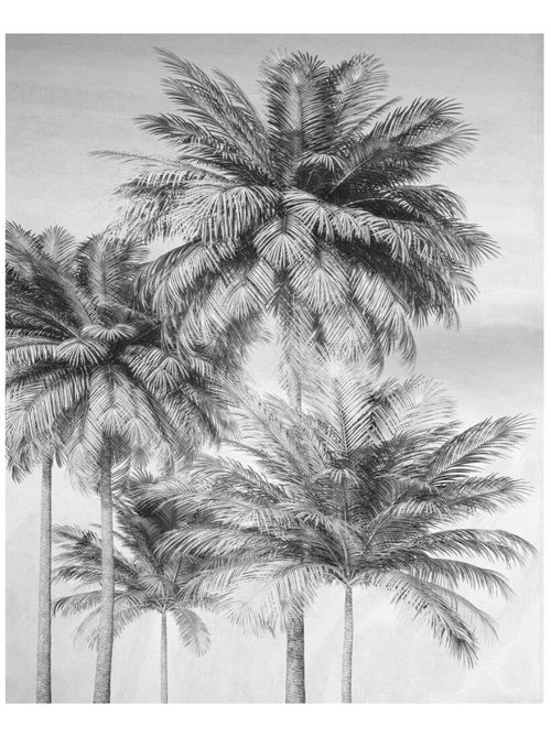 Photo Murale Intissé - Palmiers En Noirs Et Blancs - Kiabi