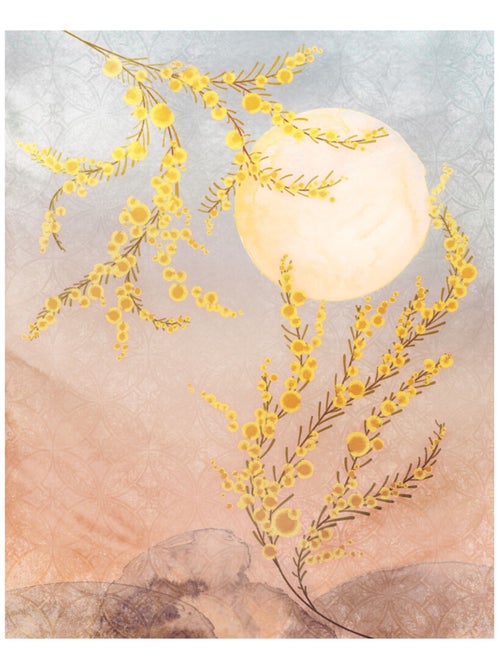 Photo Murale Intissé - Plante avec coucher de soleil - Kiabi