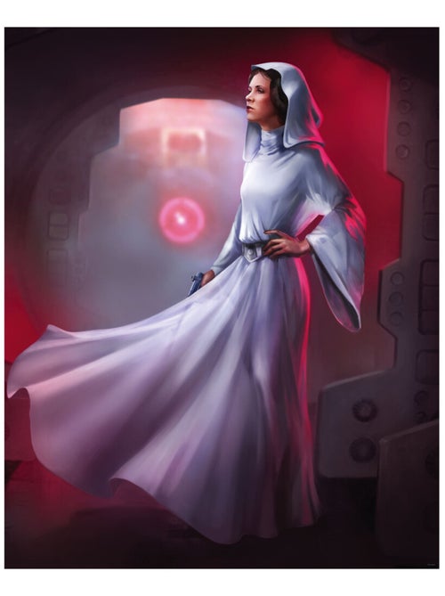 Photo Murale Intissé - Star Wars Leia - Kiabi