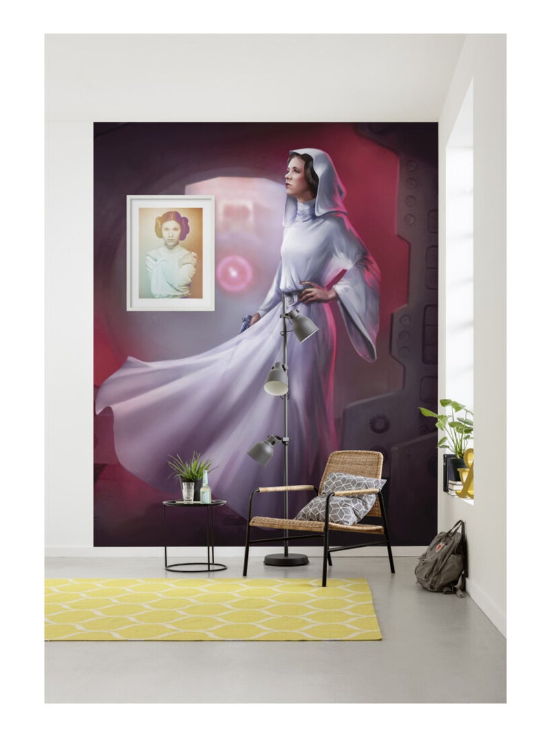 Photo Murale Intissé - Star Wars Leia Multicolore - Kiabi
