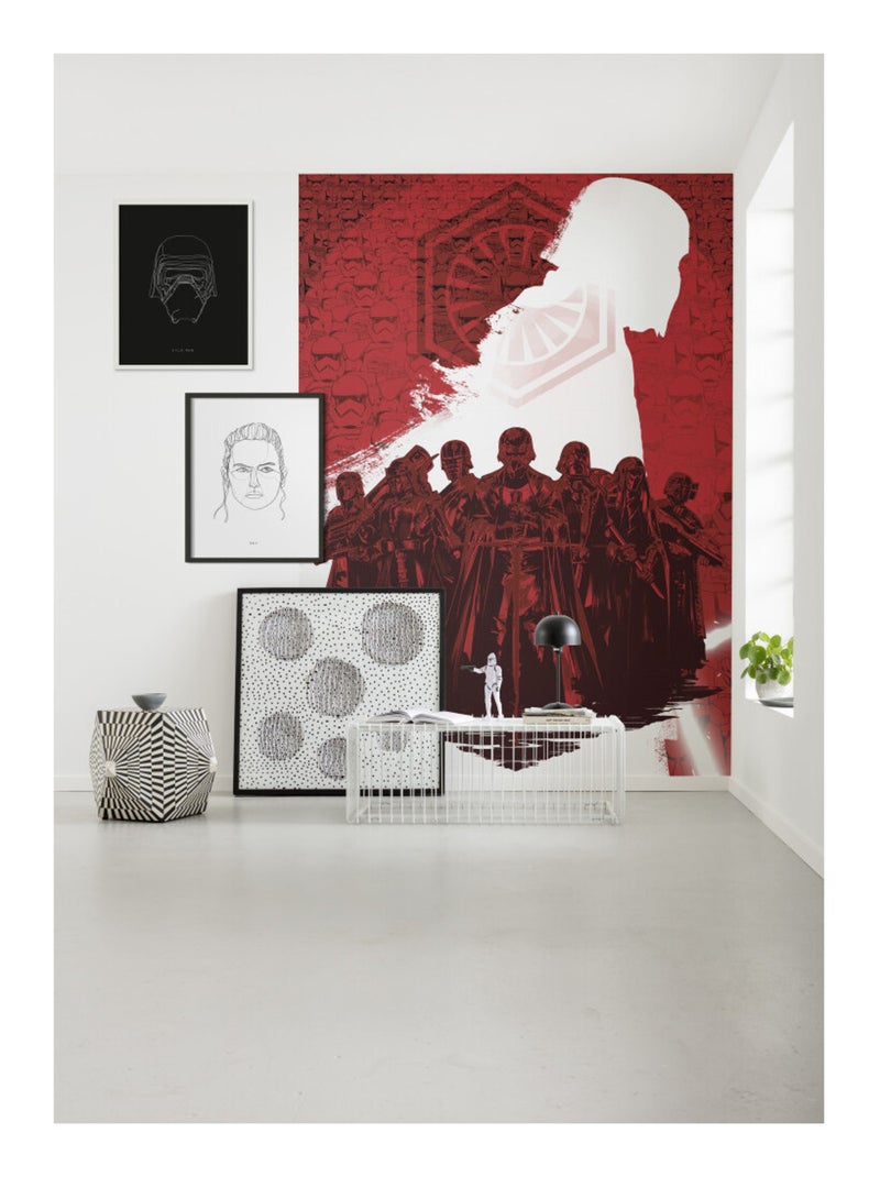 Photo Murale Intissé - Star Wars Suprême Leader Multicolore - Kiabi