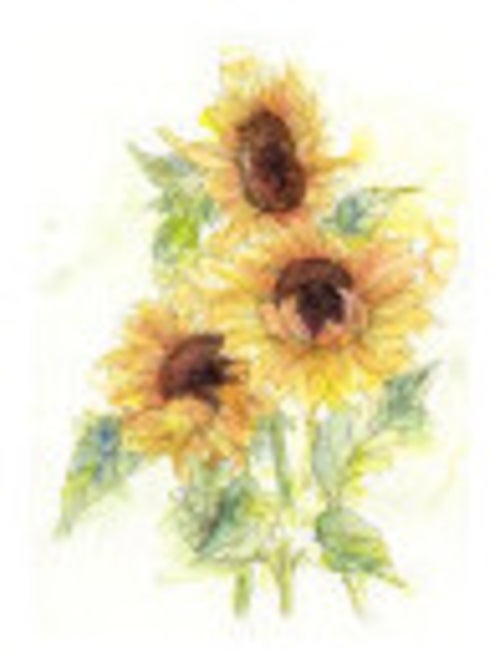 Photo Murale Intissé - Tournesols - Kiabi