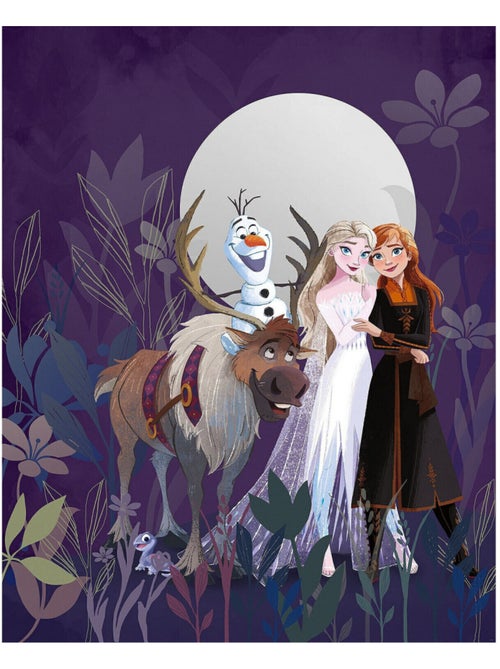 Photo murale intissé impression numérique Frozen Full Moon Hike - Kiabi