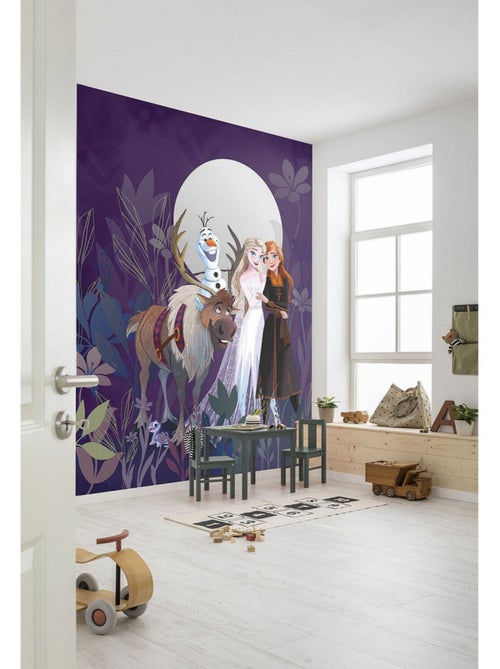 Photo murale intissé impression numérique Frozen Full Moon Hike - Kiabi