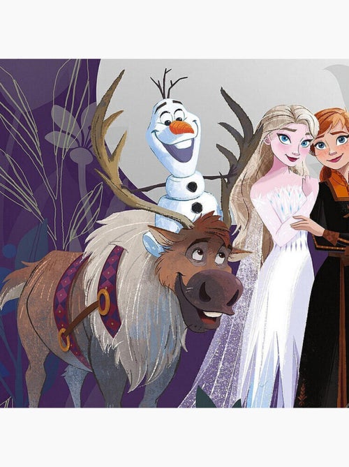 Photo murale intissé impression numérique Frozen Full Moon Hike - Kiabi