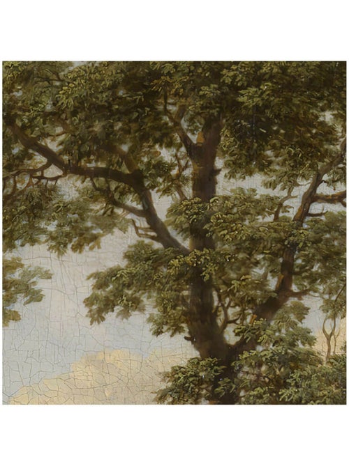 Photo Murale Ronde - Arbre Géant - Kiabi