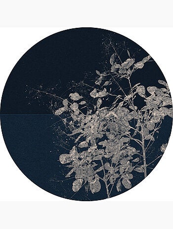 Photo Murale Ronde - Branches De Fleurs