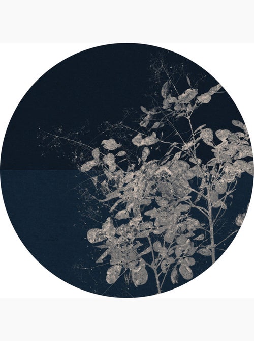 Photo Murale Ronde - Branches De Fleurs - Kiabi