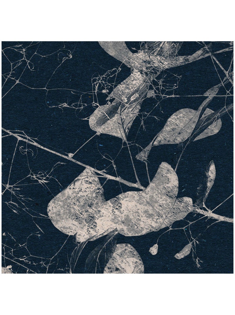 Photo Murale Ronde - Branches De Fleurs Multicolore - Kiabi