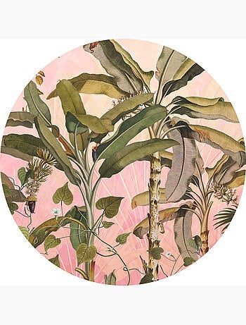 Photo Murale Ronde - Feuilles De Bananiers Fanées