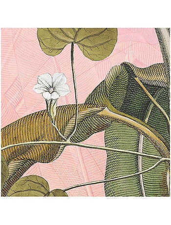 Photo Murale Ronde - Feuilles De Bananiers Fanées