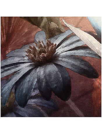 Photo Murale Ronde - Fleurs D'Amandes