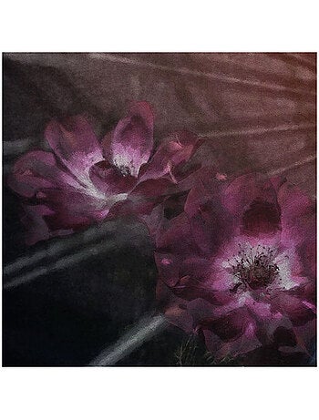 Photo Murale Ronde - Fleurs D'Amandes