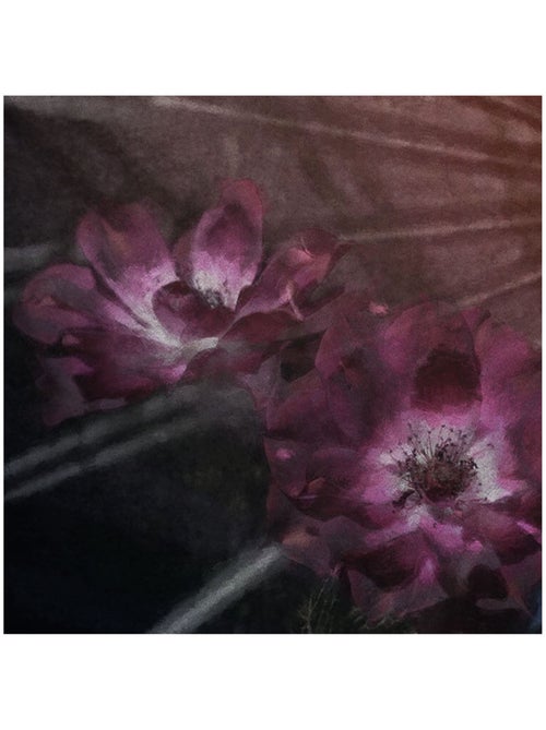 Photo Murale Ronde - Fleurs D'Amandes - Kiabi