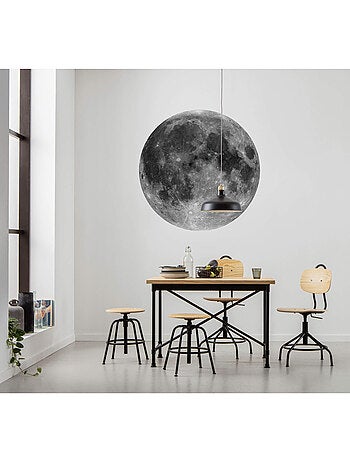 Photo Murale Ronde - La Lune