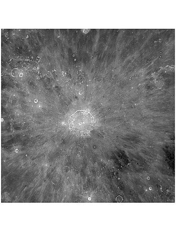 Photo Murale Ronde - La Lune