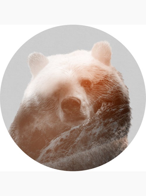 Photo Murale Ronde - Tête D'Ours - Kiabi