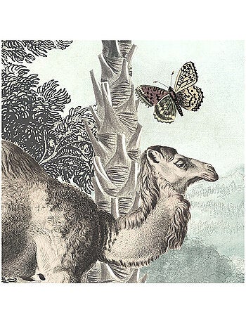 Photo Murale Ronde - Tous Les Animaux De La Jungle Réunis