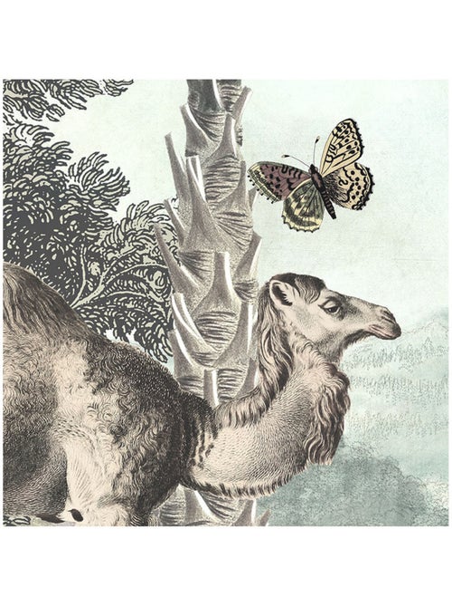 Photo Murale Ronde - Tous Les Animaux De La Jungle Réunis - Kiabi