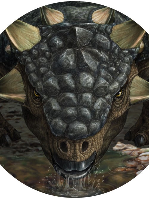 Photo Murale Ronde  Dinosaure Tarchia - 125 cm - Kiabi