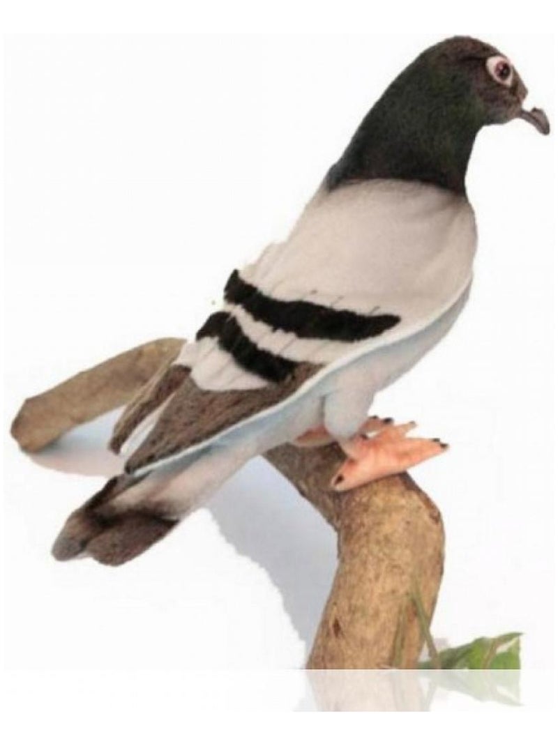 Pigeon Voyageur 20cm Beige - Kiabi