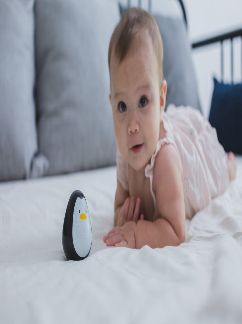 Pingouin dandinant Noir - Kiabi