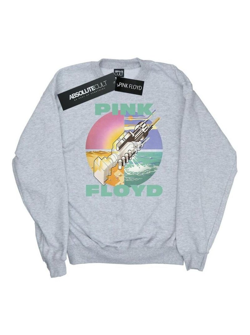 Pink Floyd - Sweat Wish: Asha et la Bonne Étoile YOU WERE HERE Gris chiné - Kiabi