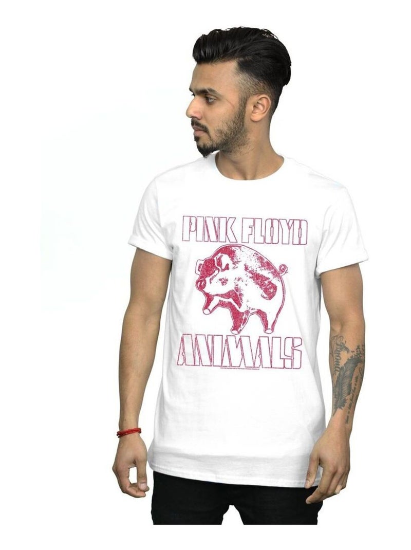 Pink Floyd - T-shirt ANIMALS Blanc - Kiabi
