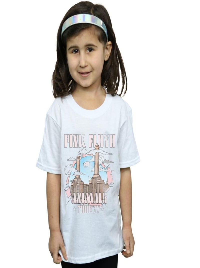 Pink Floyd - T-shirt ANIMALS Blanc - Kiabi