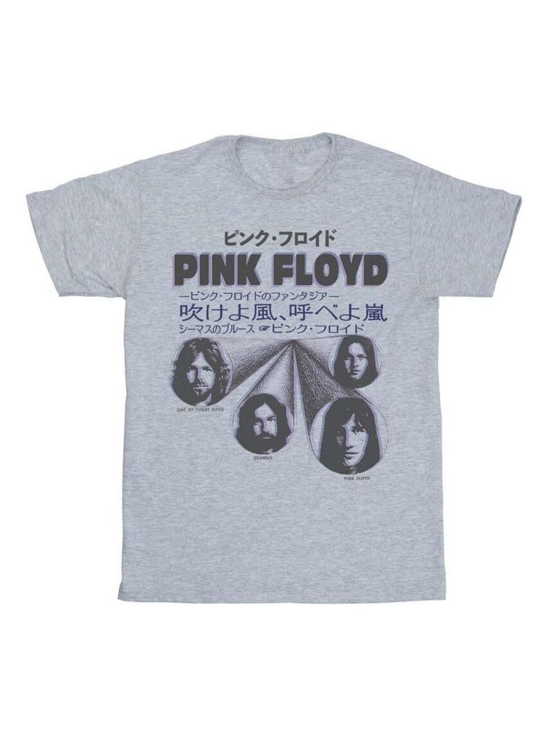 Pink Floyd - T-shirt Gris chiné - Kiabi