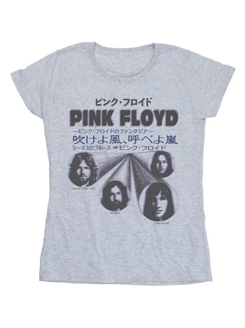 Pink Floyd - T-shirt Gris chiné - Kiabi