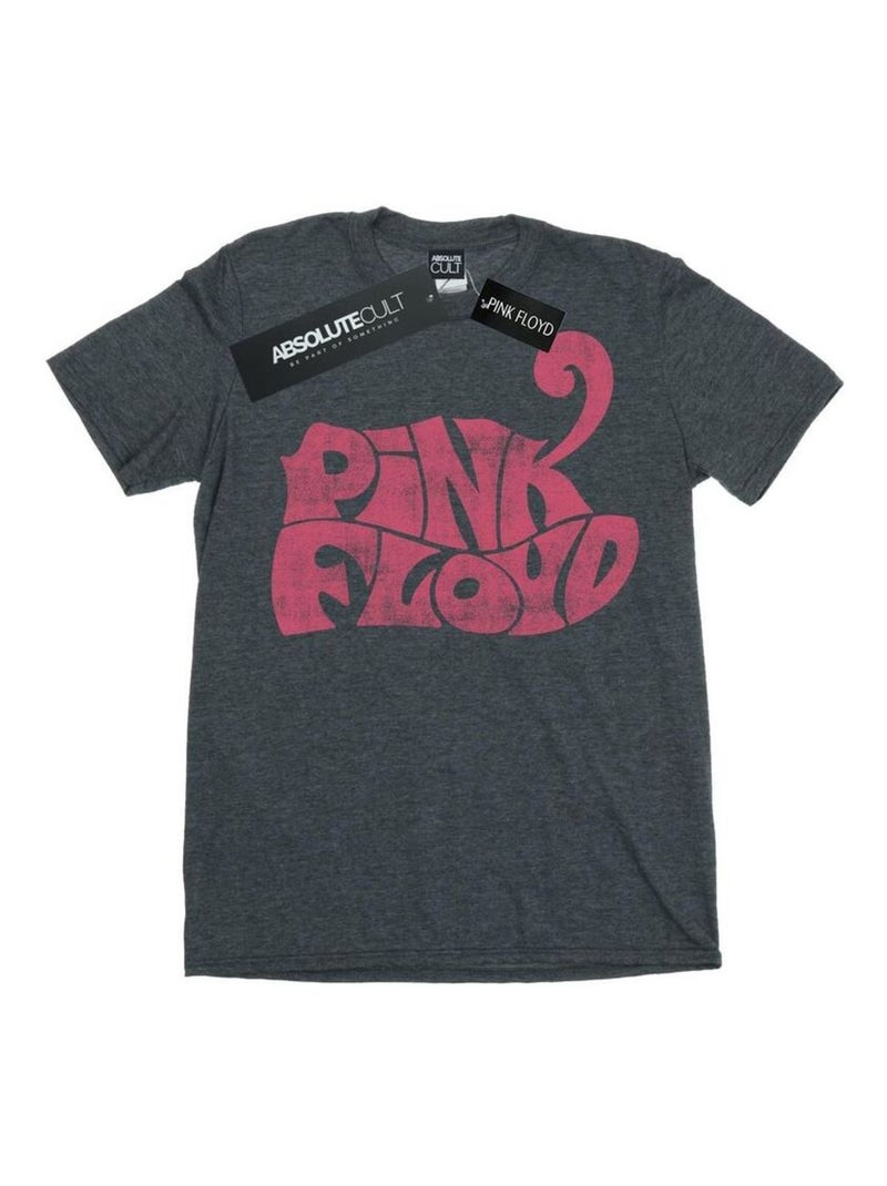 Pink Floyd - T-shirt Gris foncé - Kiabi