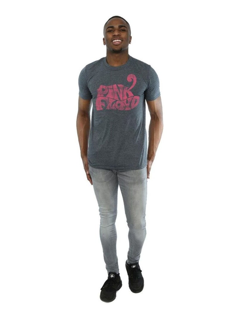 Pink Floyd - T-shirt Gris foncé - Kiabi