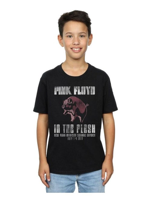 Pink Floyd - T-shirt IN THE FLESH - Kiabi