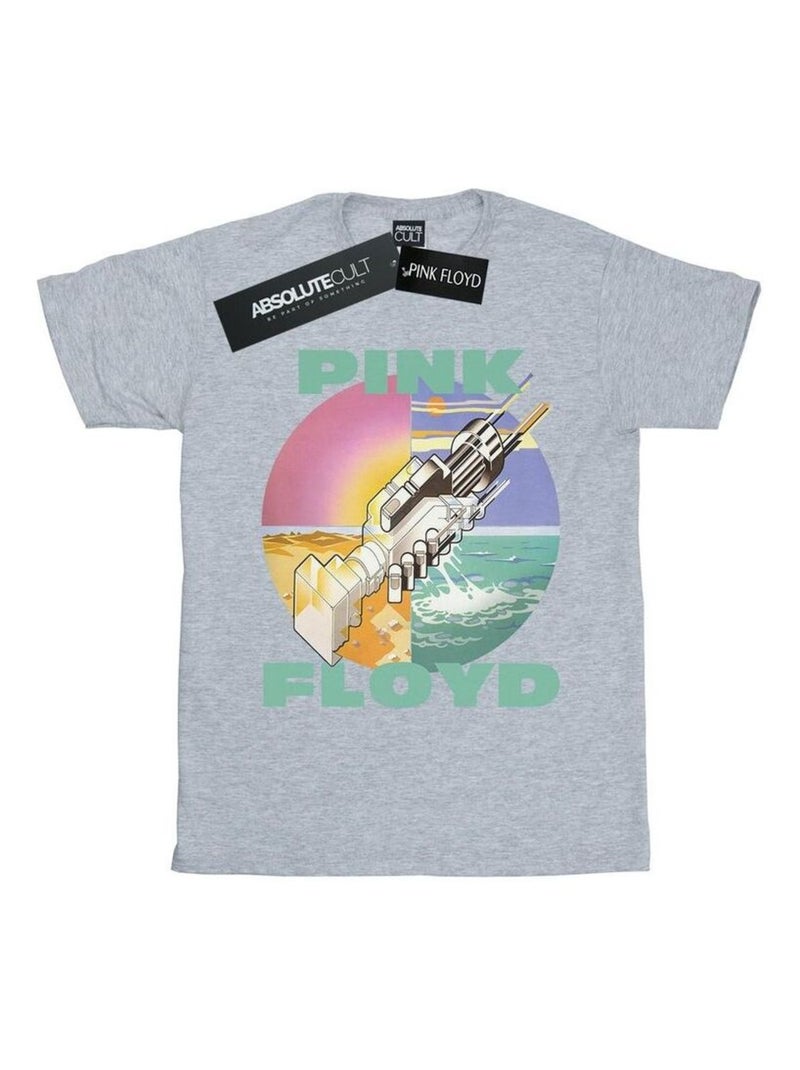 Pink Floyd - T-shirt Wish: Asha et la Bonne Étoile YOU WERE HERE Gris chiné - Kiabi