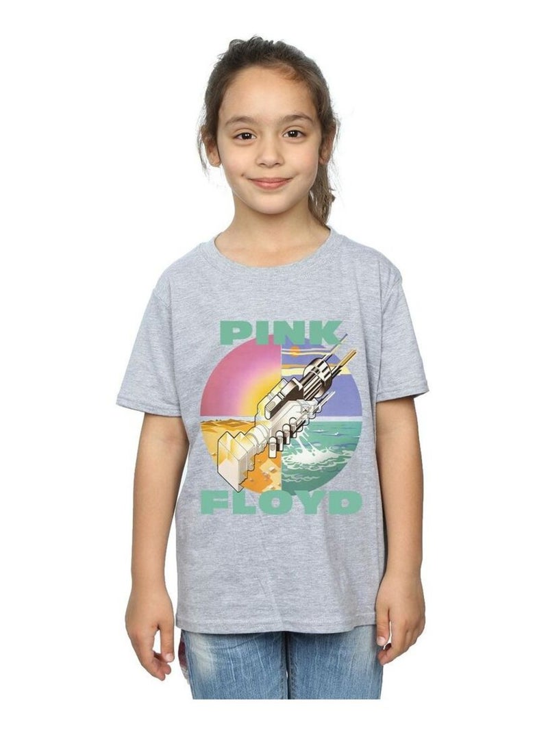 Pink Floyd - T-shirt WISH YOU WERE HERE Gris chiné - Kiabi