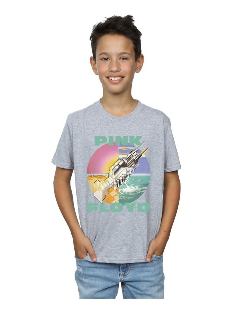Pink Floyd - T-shirt WISH YOU WERE HERE Gris chiné - Kiabi