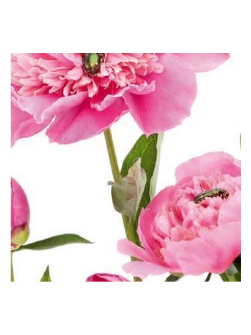Pink peony, photo murale, 360x255 cm, 4 parts Multicolore - Kiabi