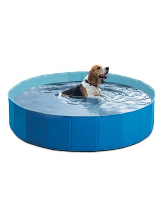 Piscine pliable pour animaux