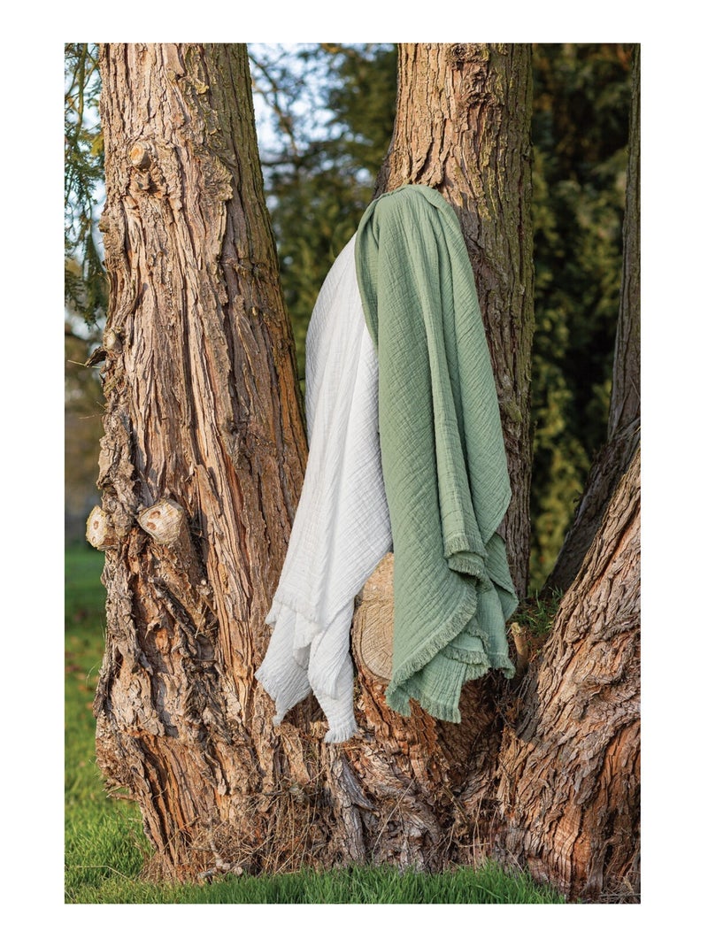Plaid - Toison d'Or - 100% double gaze de coton 300 gr/m² Vert foncé - Kiabi